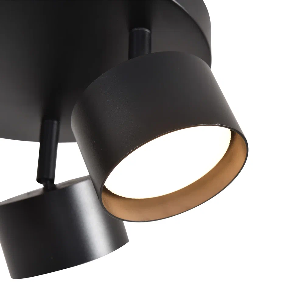 Светильник спот PP-103R BK