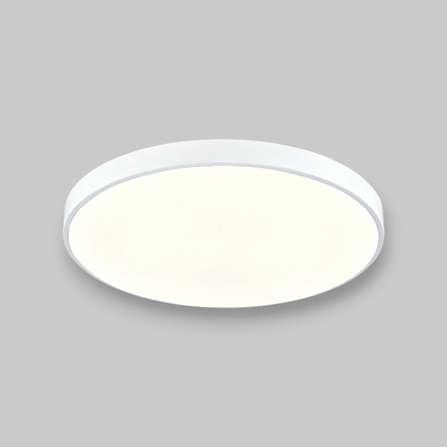 Потолочный светильник круглый PP-2818 White 6000K