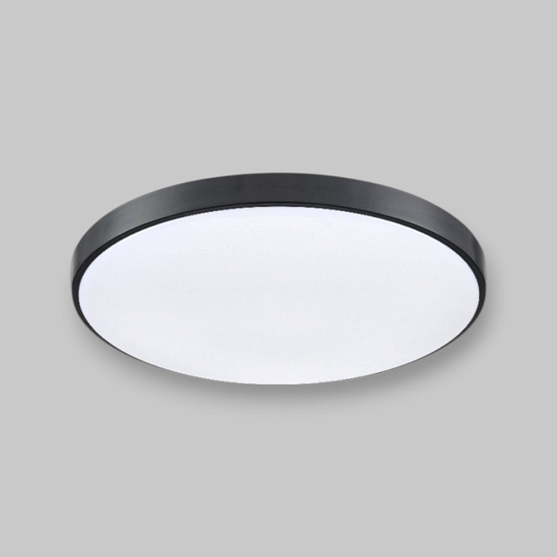 Потолочный светильник круглый PP-2818 Black 4000K