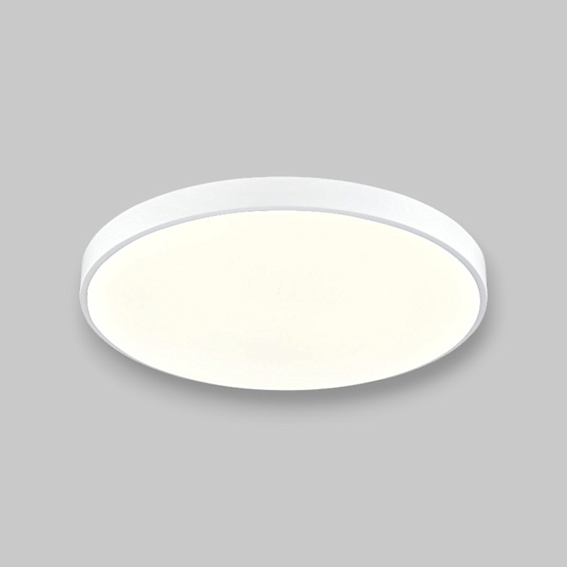 Потолочный светильник круглый PP-2818 White 4000K