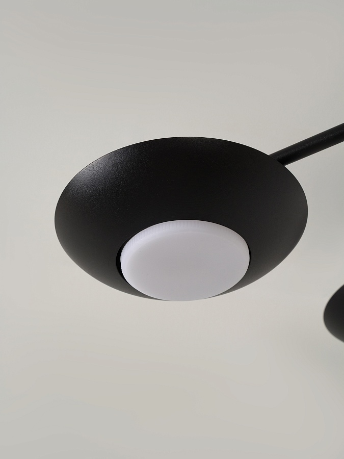 Потолочная люстра PP-53114-6-black