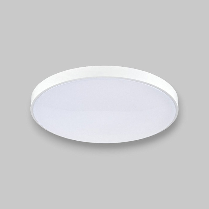 Потолочный светильник круглый PP-2818 White 4000K